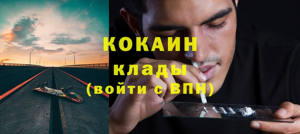 твердый Аркадак