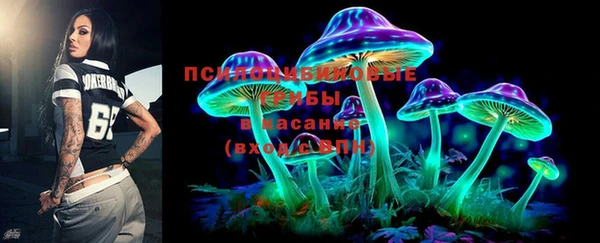 твердый Аркадак